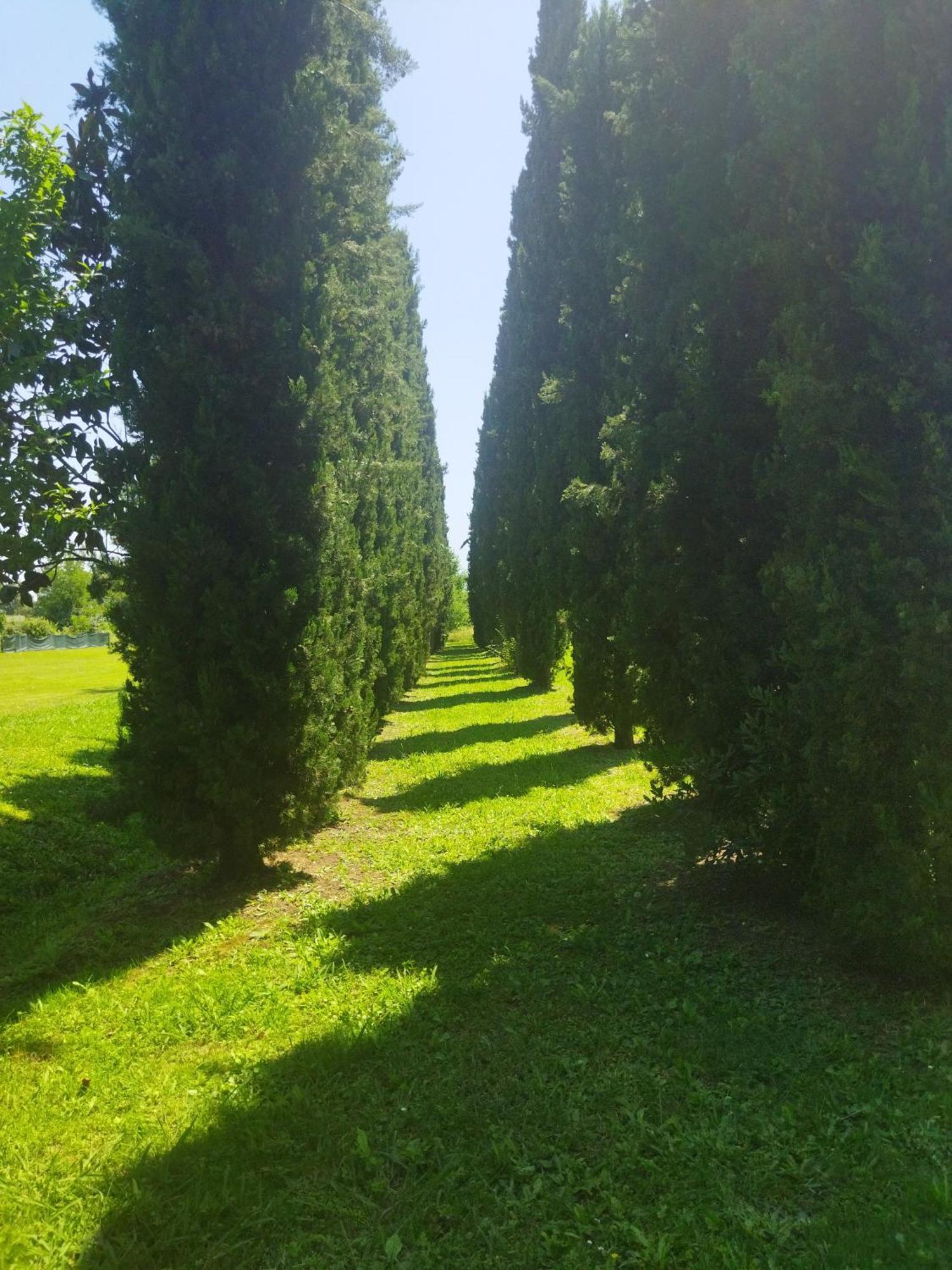 Villa Fontana Capannori Εξωτερικό φωτογραφία